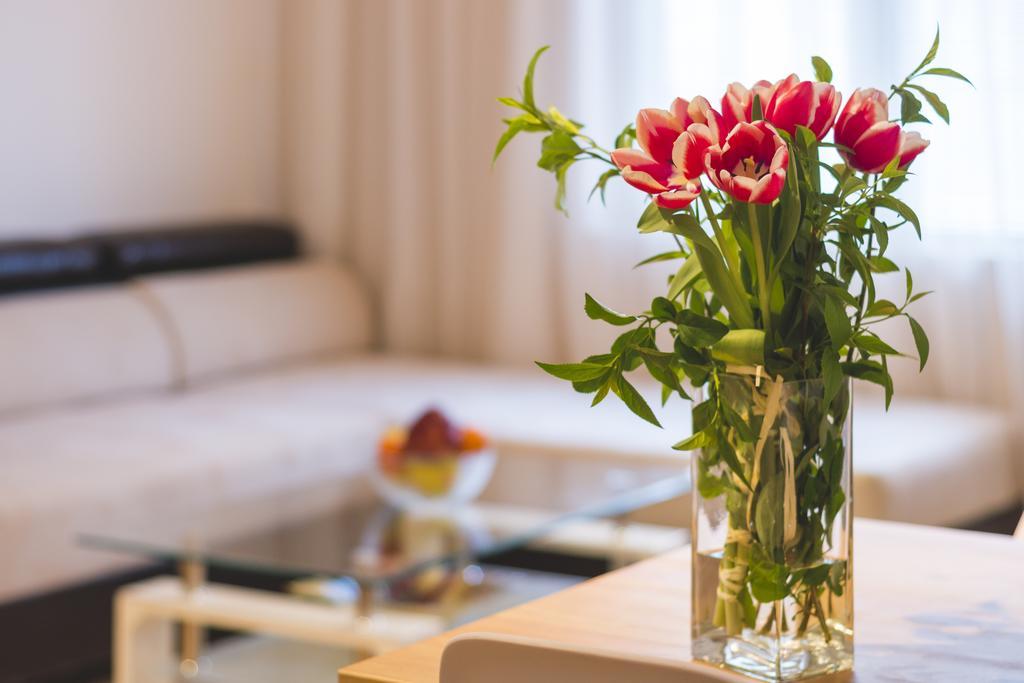 Ibar Apartment & Garage พลอฟดิฟ ภายนอก รูปภาพ
